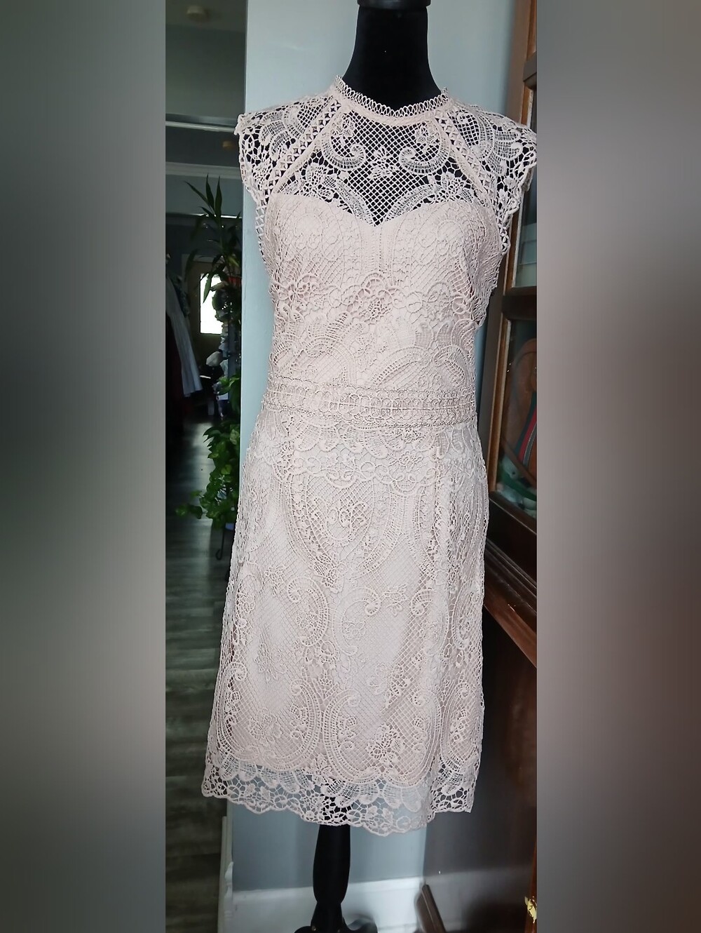 iris Strapless Lace Cocktail Dress - Blush